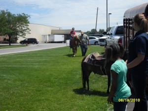 More Pony Rides at The Ohio Neck & Back Pain Relief Centers